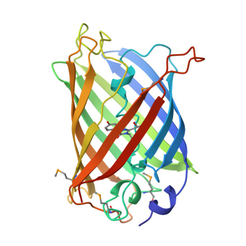 GFP ribbon structure, PDB 1EMA