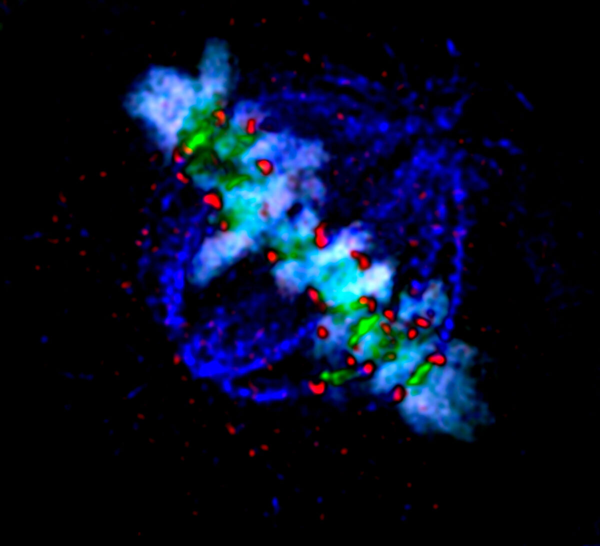 HeLa metaphase, multichannel confocal